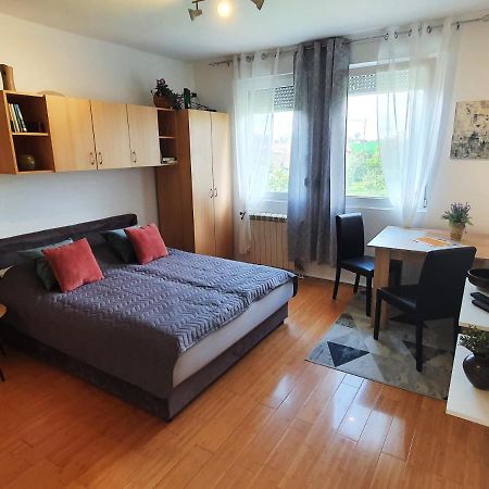Apartman 64 - Besplatan Parking Za Goste โนวีซาด ภายนอก รูปภาพ