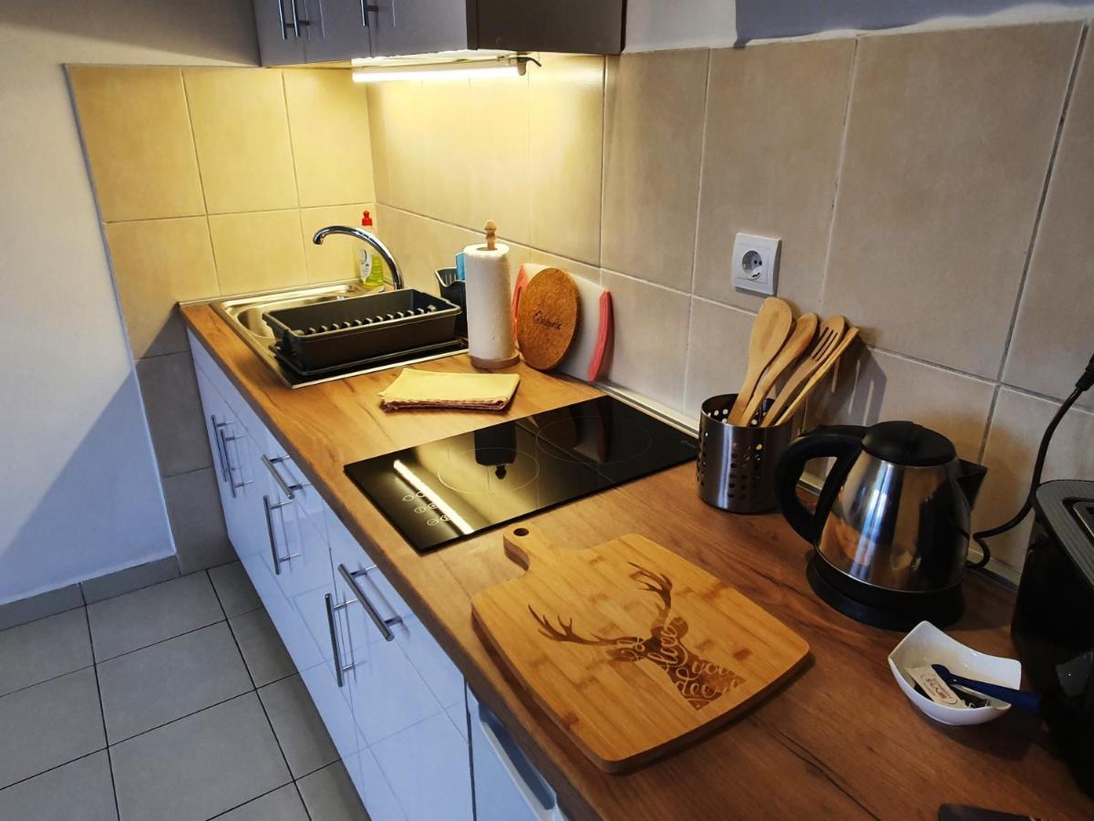 Apartman 64 - Besplatan Parking Za Goste โนวีซาด ภายนอก รูปภาพ